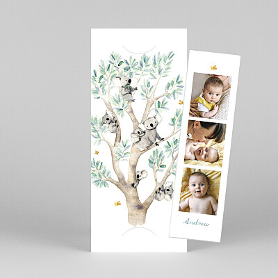 Koala family of 6 (bookmark) white petite alma baby thank you cards Koala family of 6 (bookmark) white petite alma baby thank you cards