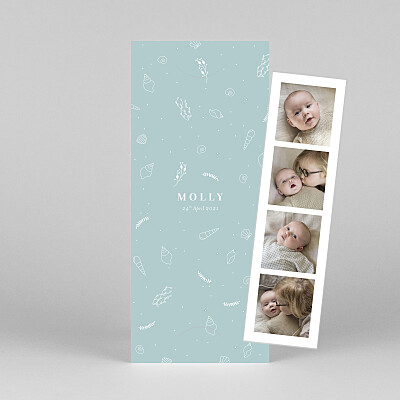 Elegant sea shells (bookmark) blue blue baby thank you cards Elegant sea shells (bookmark) blue blue baby thank you cards