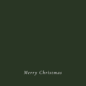 Forever ferns (foil) green traditional christmas cards Forever ferns (foil) green traditional christmas cards