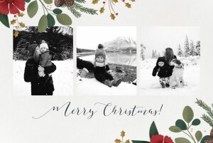 Christmas Cards 2022 Daphné Landscape Grey