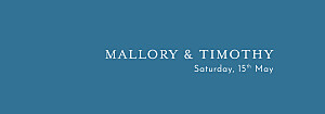 The big day (small) blue belly bands The big day (small) blue belly bands