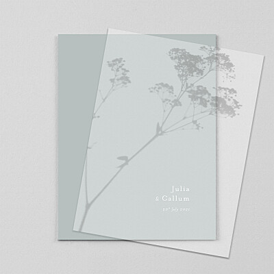 Daydreamer (vellum) gypsophile green wedding invitations Daydreamer (vellum) gypsophile green wedding invitations