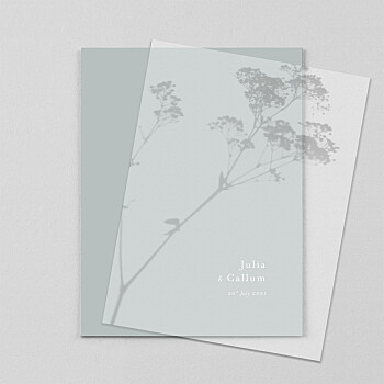 Daydreamer (vellum) gypsophile wedding invitations Daydreamer (vellum) gypsophile wedding invitations