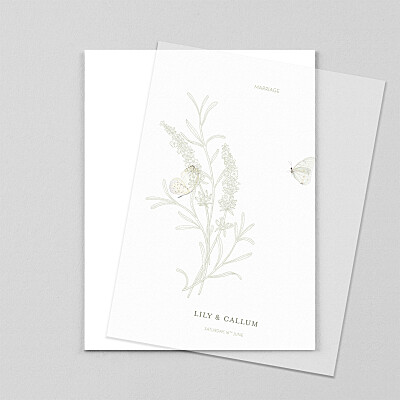 Hearts aflutter portrait (vellum) green green wedding invitations Hearts aflutter portrait (vellum) green green wedding invitations