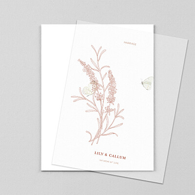Hearts aflutter portrait (vellum) rust orange wedding invitations Hearts aflutter portrait (vellum) rust orange wedding invitations