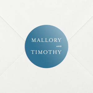 Wedding Envelope Stickers The Big Day Blue Wedding Envelope Stickers The Big Day Blue