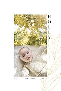 Season yellow baby announcements Season yellow baby announcements