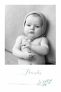 Country meadow green photo baby thank you cards Country meadow green photo baby thank you cards