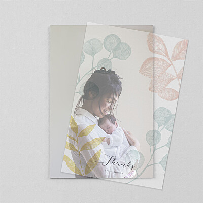 Midnight foliage (vellum) pink pink baby thank you cards Midnight foliage (vellum) pink pink baby thank you cards