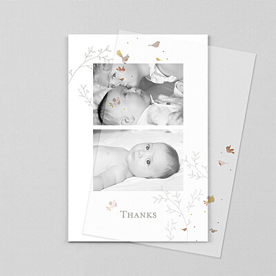 Birds of a feather (vellum) pink floral baby thank you cards Birds of a feather (vellum) pink floral baby thank you cards