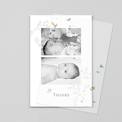 Birds of a feather (vellum) blue blue baby thank you cards Birds of a feather (vellum) blue blue baby thank you cards