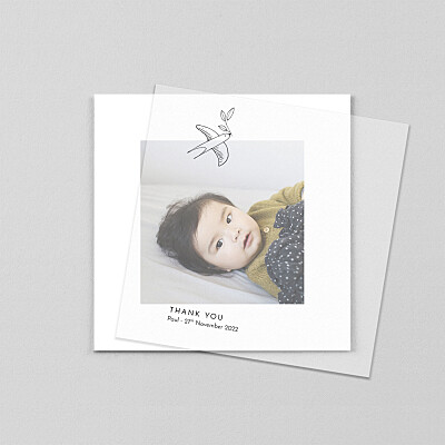 Unity (vellum) white vellum baby thank you cards Unity (vellum) white vellum baby thank you cards