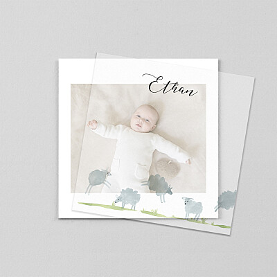 Counting sheep (vellum) white animal baby thank you cards Counting sheep (vellum) white animal baby thank you cards