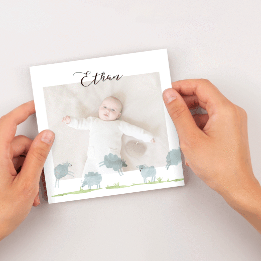 Baby Thank You Cards Counting Sheep (Vellum) White