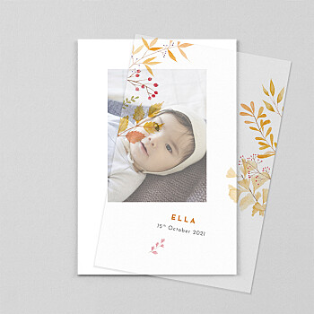 Four seasons (vellum) autumn baby thank you cards Four seasons (vellum) autumn baby thank you cards