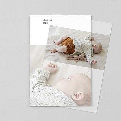 Cherished (portrait) (vellum) white unique baby thank you cards Cherished (portrait) (vellum) white unique baby thank you cards