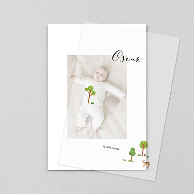 Once upon a time (vellum) woods green baby thank you cards Once upon a time (vellum) woods green baby thank you cards