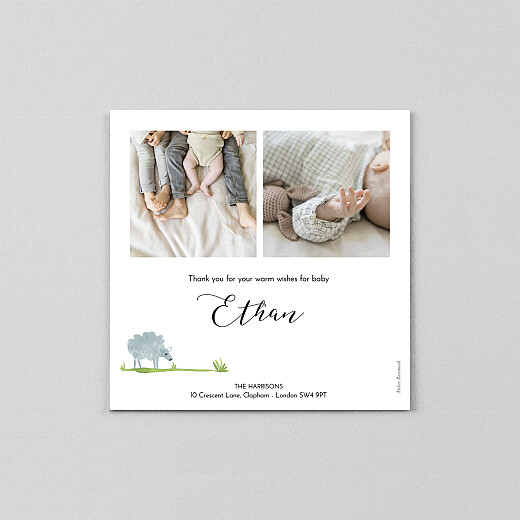 Baby Thank You Cards Counting Sheep (Vellum) White - View 3 Baby Thank You Cards Counting Sheep (Vellum) White - View 3