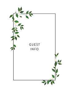 Love grows white white guest information cards Love grows white white guest information cards