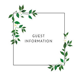 Love grows (square) white white guest information cards Love grows (square) white white guest information cards