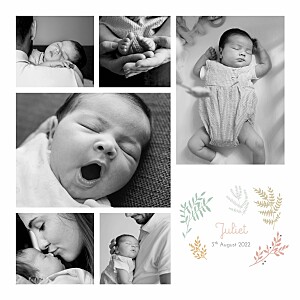 Liberty leaves pink white baby announcements 自由leaves pink white baby announcements