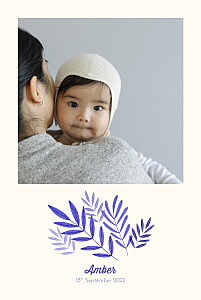 Palm leaves blue baby announcements Palm leaves blue baby announcements