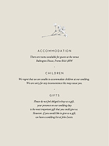Gypsophila beige guest information cards Gypsophila beige guest information cards