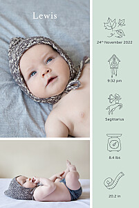 My story (portrait) green green baby announcements My story (portrait) green green baby announcements