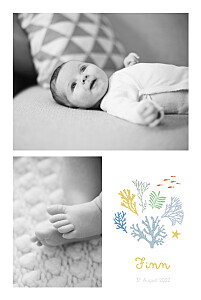 Colourful coral yellow girls baby announcements Colourful coral yellow girls baby announcements