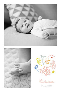 Colourful coral pink pink baby announcements Colourful coral pink pink baby announcements