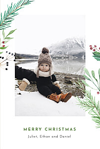 Festive season (4 pages) green christmas cards 节日期间(4页)绿色圣诞贺卡betway必威开户网站