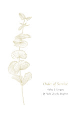 Wedding Order of Service Booklet Covers Everlasting Eucalyptus Beige
