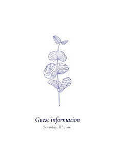 Everlasting eucalyptus blue guest information cards Everlasting eucalyptus blue guest information cards