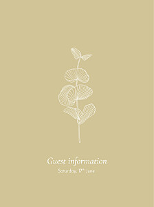 Everlasting eucalyptus beige beige guest information cards Everlasting eucalyptus beige beige guest information cards