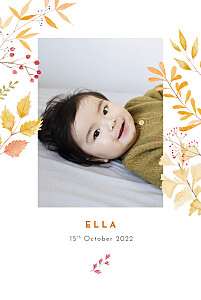 Four seasons (4 pages) autumn girls baby announcements Four seasons (4 pages) autumn girls baby announcements