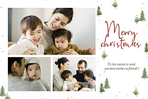 Festive firs (4 pages) white christmas cards 节日冷杉(4页)白色圣诞贺卡betway必威开户网站