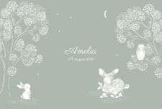 Baby Announcements Bedtime Story (Landscape) Green