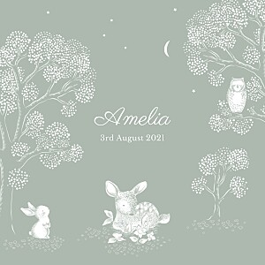 Bedtime story green boys baby announcements Bedtime story green boys baby announcements