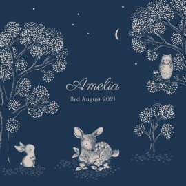 Baby Announcements Bedtime Story Blue