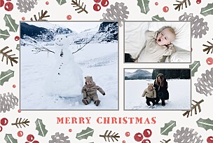 Holly & pine (landscape) cream christmas cards 霍莉和松(横向)奶油圣诞贺卡betway必威开户网站