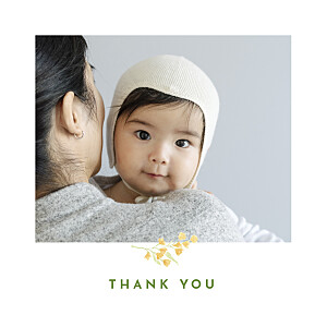 Four seasons (4 pages) square spring blue baby thank you cards Four seasons (4 pages) square spring blue baby thank you cards