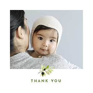 Four seasons (4 pages) square summer green baby thank you cards Four seasons (4 pages) square summer green baby thank you cards