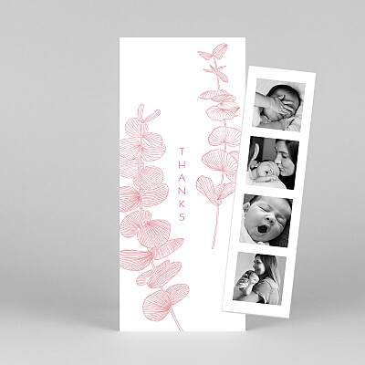 Everlasting eucalyptus (bookmark) pink pink baby thank you cards Everlasting eucalyptus (bookmark) pink pink baby thank you cards