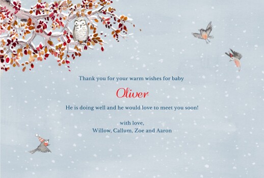 Baby Thank You Cards Winter Storybook Photo Blue - Page 3 Baby Thank You Cards Winter Storybook Photo Blue - Page 3