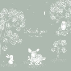 Baby Thank You Cards Bedtime Story Green