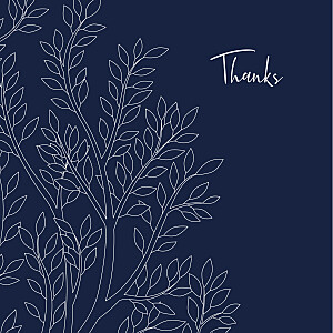 The family tree blue blue baby thank you cards The family tree blue blue baby thank you cards