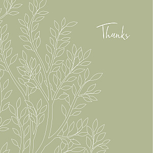 The family tree green green baby thank you cards The family tree green green baby thank you cards