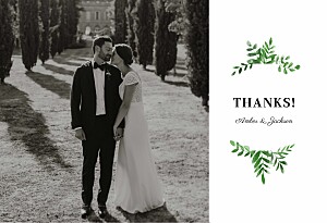 Cascading canopy (4 pages) green wedding thank you cards Cascading canopy (4 pages) green wedding thank you cards