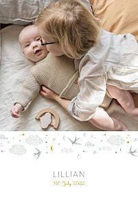 Dreamland (portrait) bleu baby announcements Dreamland (portrait) bleu baby announcements