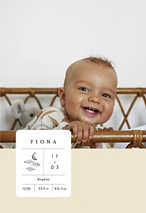 All about me (portrait) beige beige baby announcements All about me (portrait) beige beige baby announcements